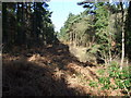 Dismantled Railway, Leybrook Common