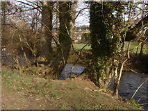 SX8178 : River Bovey, Bovey Tracey by Alan Hunt