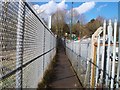 Footpath to the common