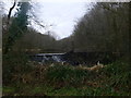 Weir on the river Cefni in The Dingle