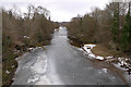 Frozen River Almond