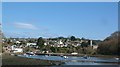 Stoke Gabriel from River Dart