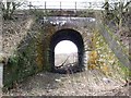 Pettycastle Railway Bridge