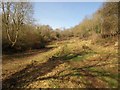 Barley Valley Local Nature Reserve