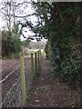 Public Footpath in Scorton