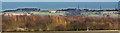 Looking across the Mersey Forest towards Billinge Hill