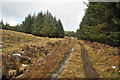 NH2562 : Forest track in Strathbran Plantation by Steven Brown