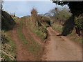 Track and lane, Chapel Leigh