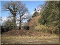 Early spring colours, Heathfield Farm