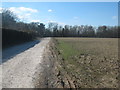 Bridleway to Sheeplands Plantation