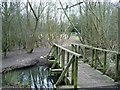 Footbridge, Dragonfly Pool