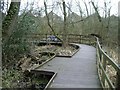 Elevated paths, Plants Brook Nature Reserve