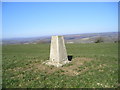 Trig Point