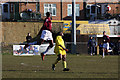 Potters Bar Town Football Club