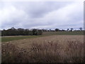 View looking towards Gales Farm