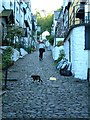 Clovelly: the walk up from the harbour