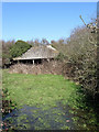 Disused Barn near Barnhorne Manor