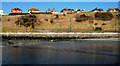 Elevated houses, Whitehead