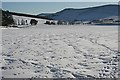 Tracks in the Snow