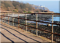 Rusty fence, Whitehead