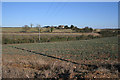 Black Spring Farm near Swayfield