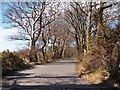 The road to Ynys