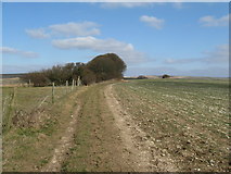 TQ3011 : Looking north on the Sussex Border Path along Holt Hill by Dave Spicer