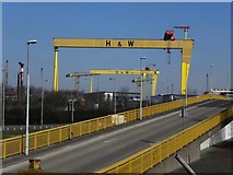 J3575 : H & W cranes, Queen's Island, Belfast by Kenneth  Allen