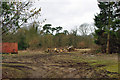 Wood pile in field