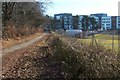 Footpath to Larbert