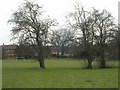 Playing Field - Carr Street