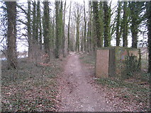 SU6154 : Path through the woods by Mr Ignavy