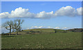 ST6761 : 2010 : Fields near Priston New Farm by Maurice Pullin