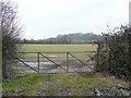 Gate and pasture by Saddlebow Lane