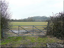 SP2063 : Gate and pasture by Saddlebow Lane by Jonathan Billinger