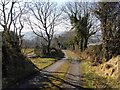 H0897 : Road at Milltown by Kenneth  Allen
