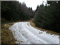 Great Glen Cycle Route going down to Dalcataig 