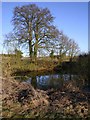 Small pond opposite the entrance to Monk