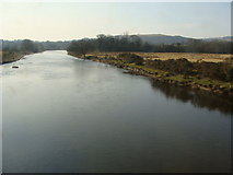 SN6321 : River Towy from Heart of Wales railway, Ffairfach, near Llandeilo by Ruth Sharville