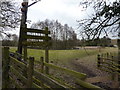 Bird watcher at Lambley Reed Pond