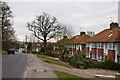 Houses on Lawrence Street