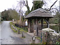 Thatched Bus Stop