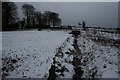 Stream from Tarvin Bridge