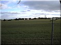 SP6471 : West Haddon Farmland by Ian Rob