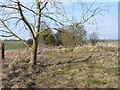 Disused railway line, near Standlynch