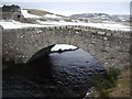 Upstream face of the old Rippachie Bridge