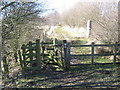 Footpath in Cowpen Bewley Woodland Park