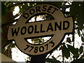 ST7707 : Woolland: detail of finger-post by Chris Downer