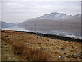 NM6927 : South shore of Loch Spelve by Andy Waddington