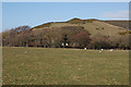 Grazing land west of Llanrhystud